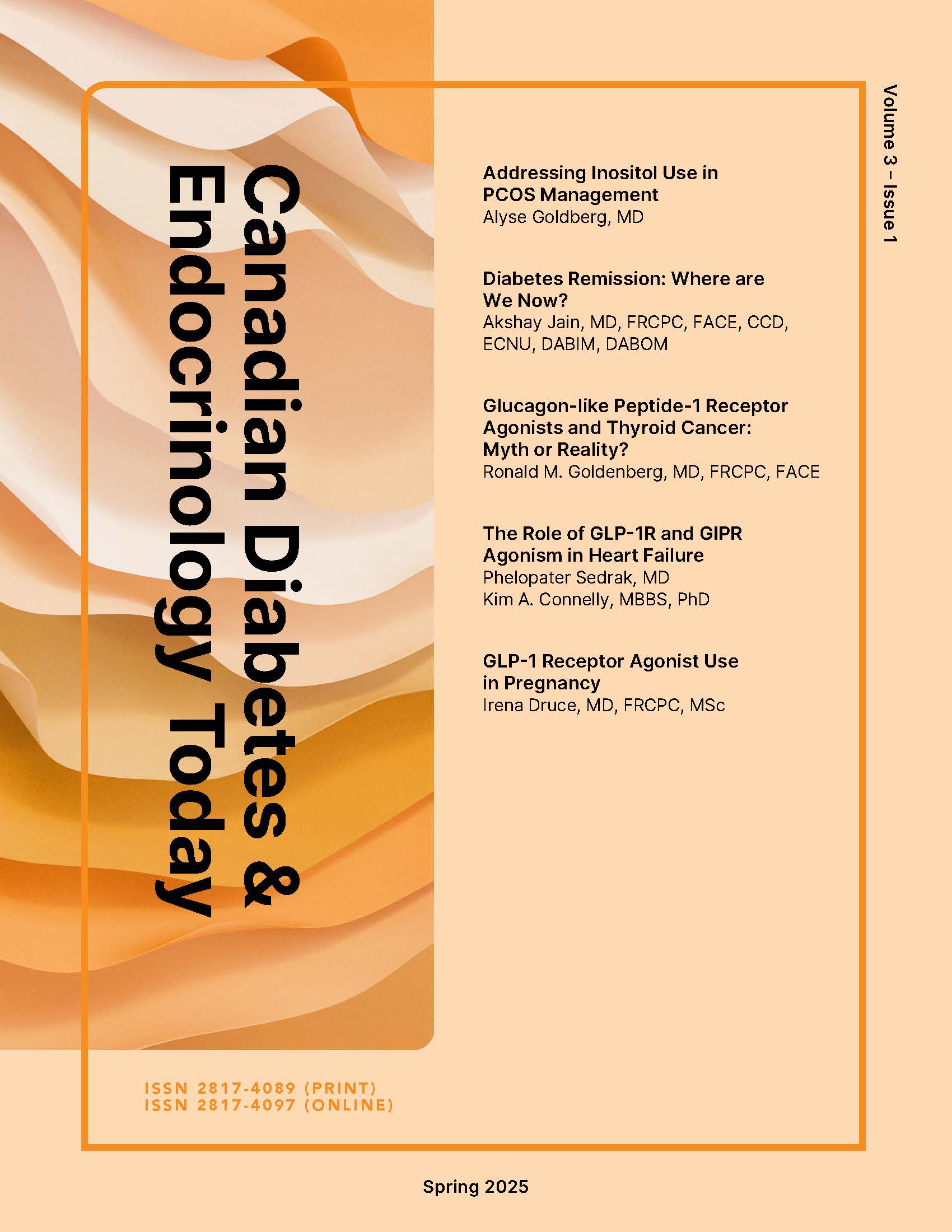 View Volume 3, Issue 1, Spring 2025